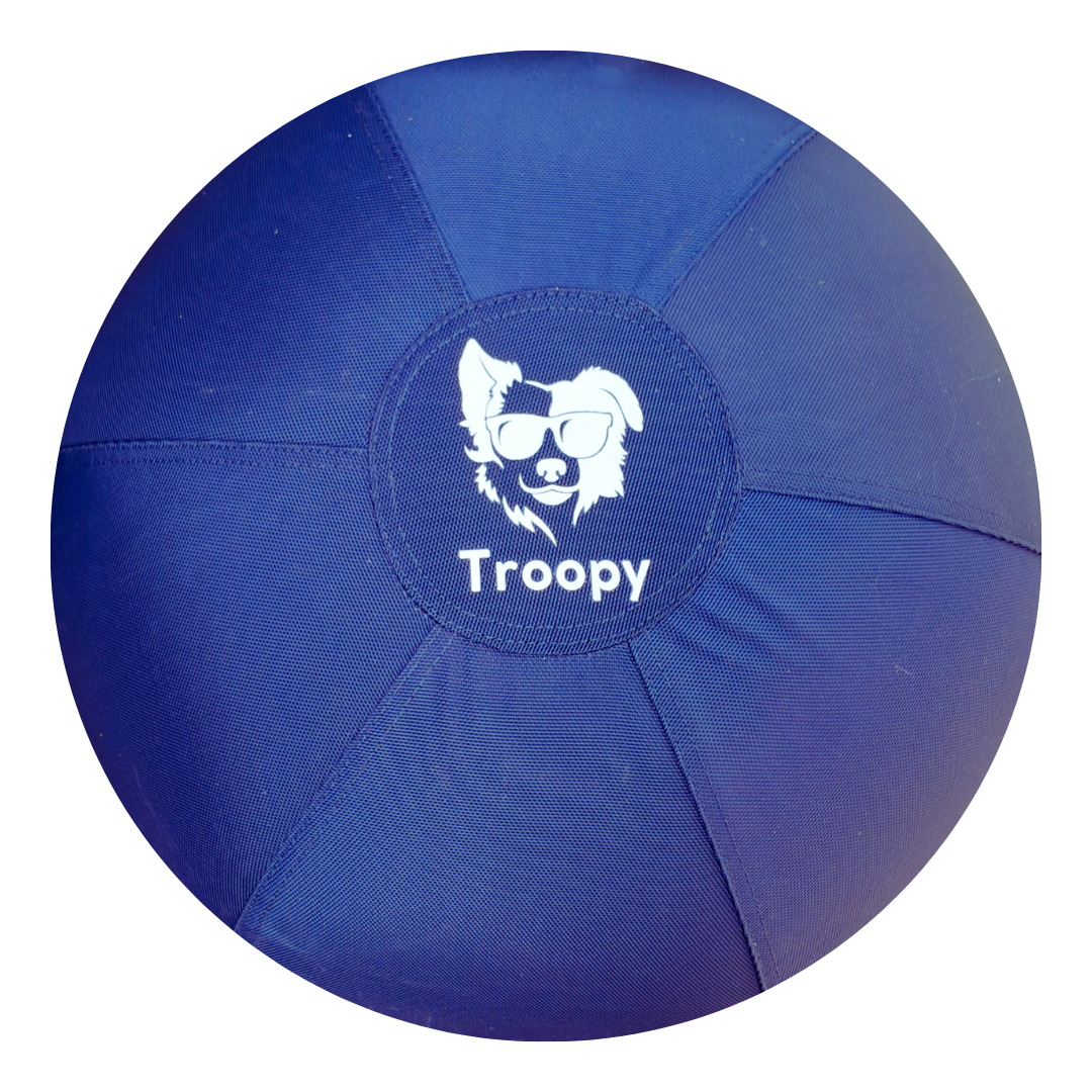 Troopy_Navy
